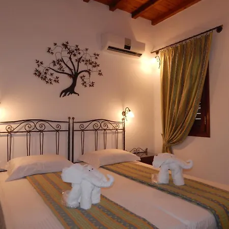 Tinos & Bed & Breakfast