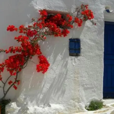 Tinos & Agios Ioannis (Tinos)