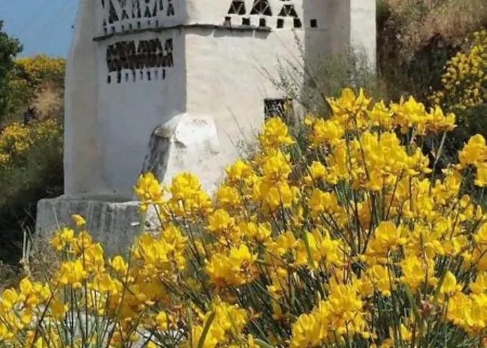 Alojamento de Acomodação e Pequeno-almoço Tinos &